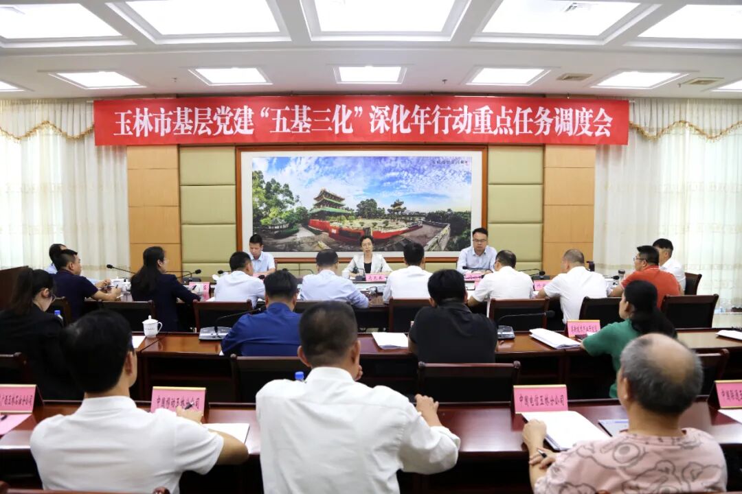 对标对表提质效 不折不扣抓落实——玉林市召开基层党建“五基三化”深化年行动重点任务调度会