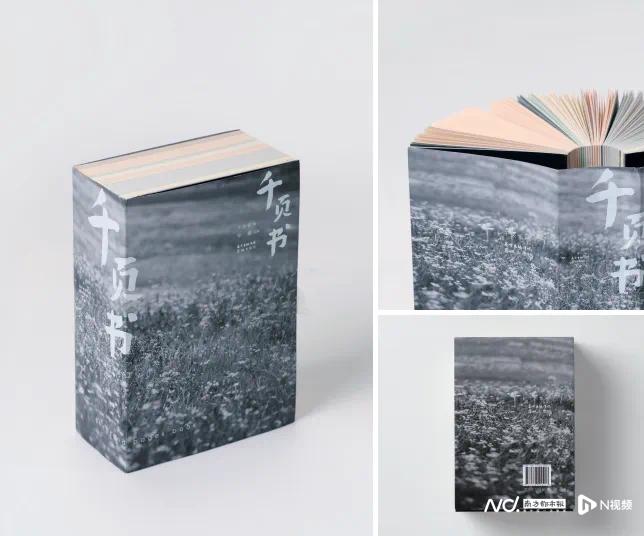 最美图书评选_粤港澳大湾区书籍设计艺术展 2025_2025年度影响力图书