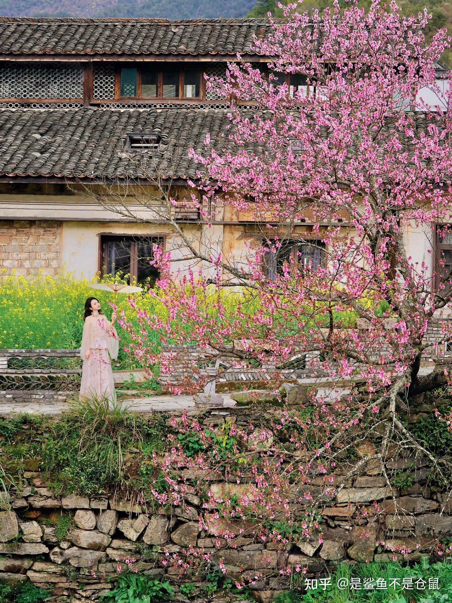 【2025江西亲身体验旅游攻略】3分钟耐心看完全新玩法,畅游江西少走弯路！