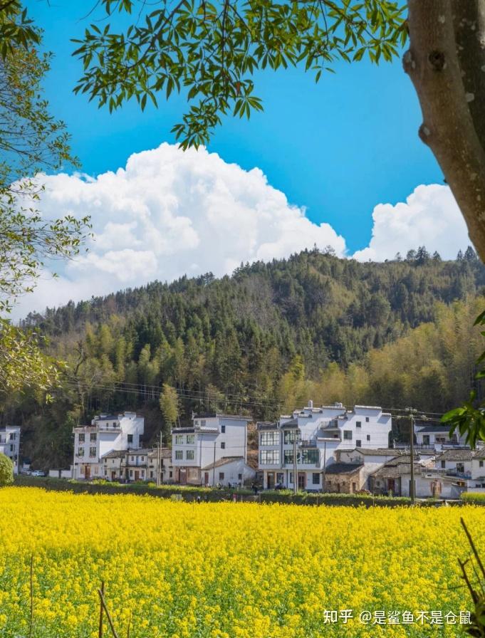 江西必去景点推荐_江西旅游攻略_江西永丰上溪新闻