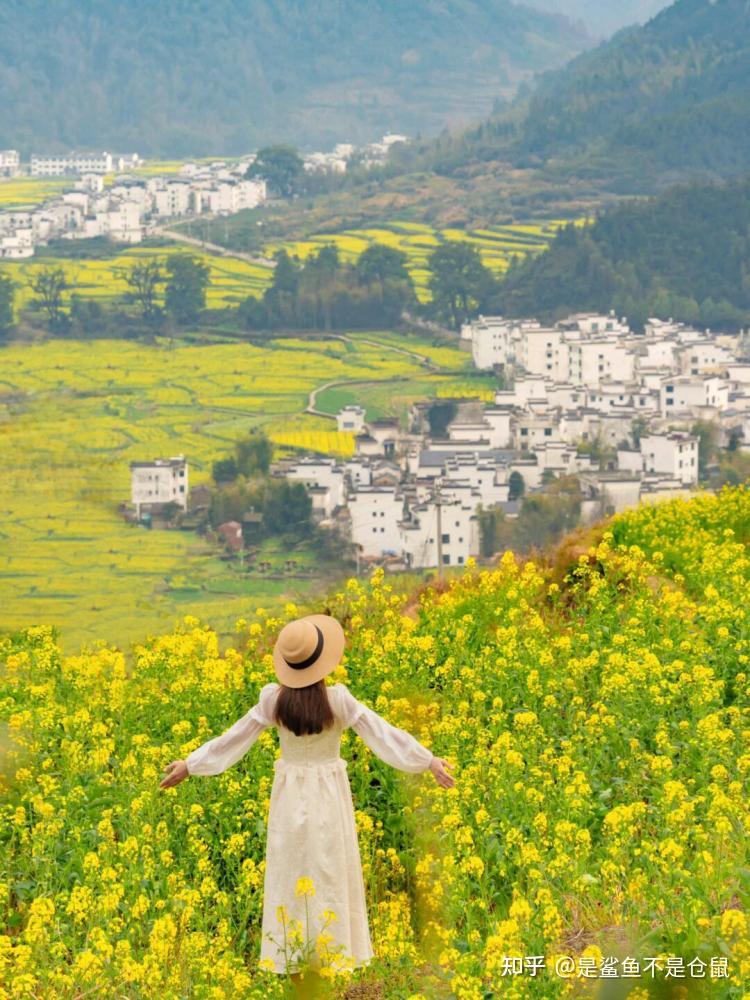 江西旅游攻略_江西永丰上溪新闻_江西必去景点推荐