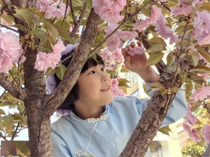 幼儿园春天景色_幼儿园春天活动_幼儿园新闻播报稿春天