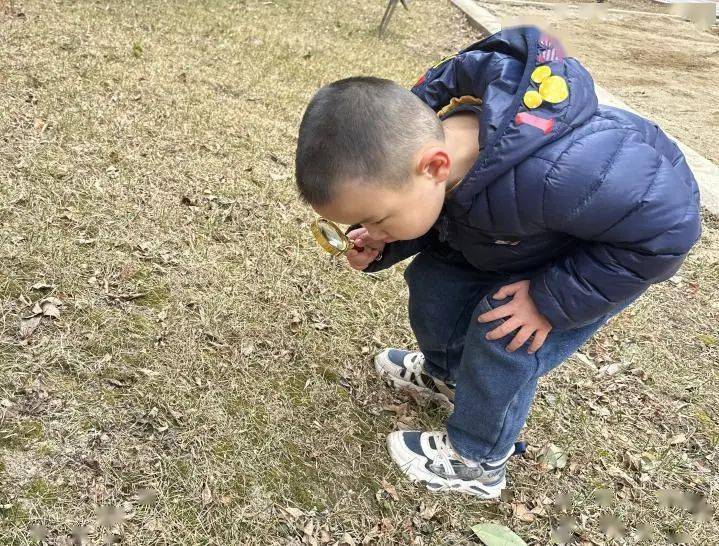 幼儿园新闻播报稿春天_幼儿园春天景色_幼儿园春天活动