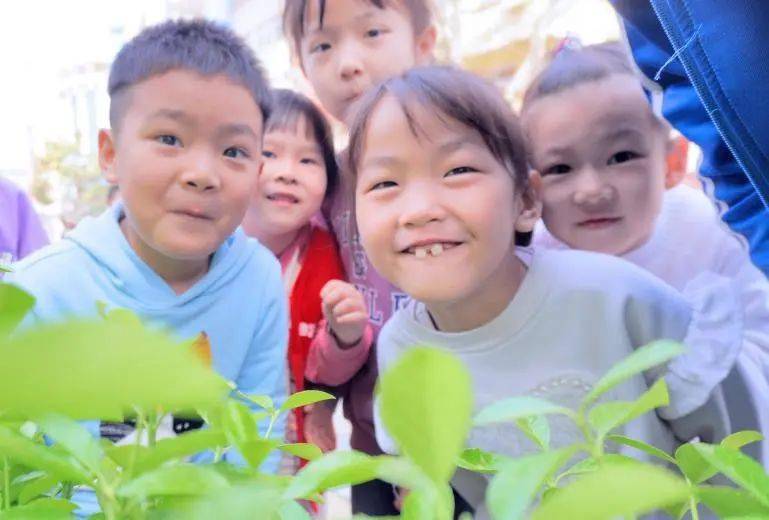 幼儿园春天活动_幼儿园新闻播报稿春天_幼儿园春天景色