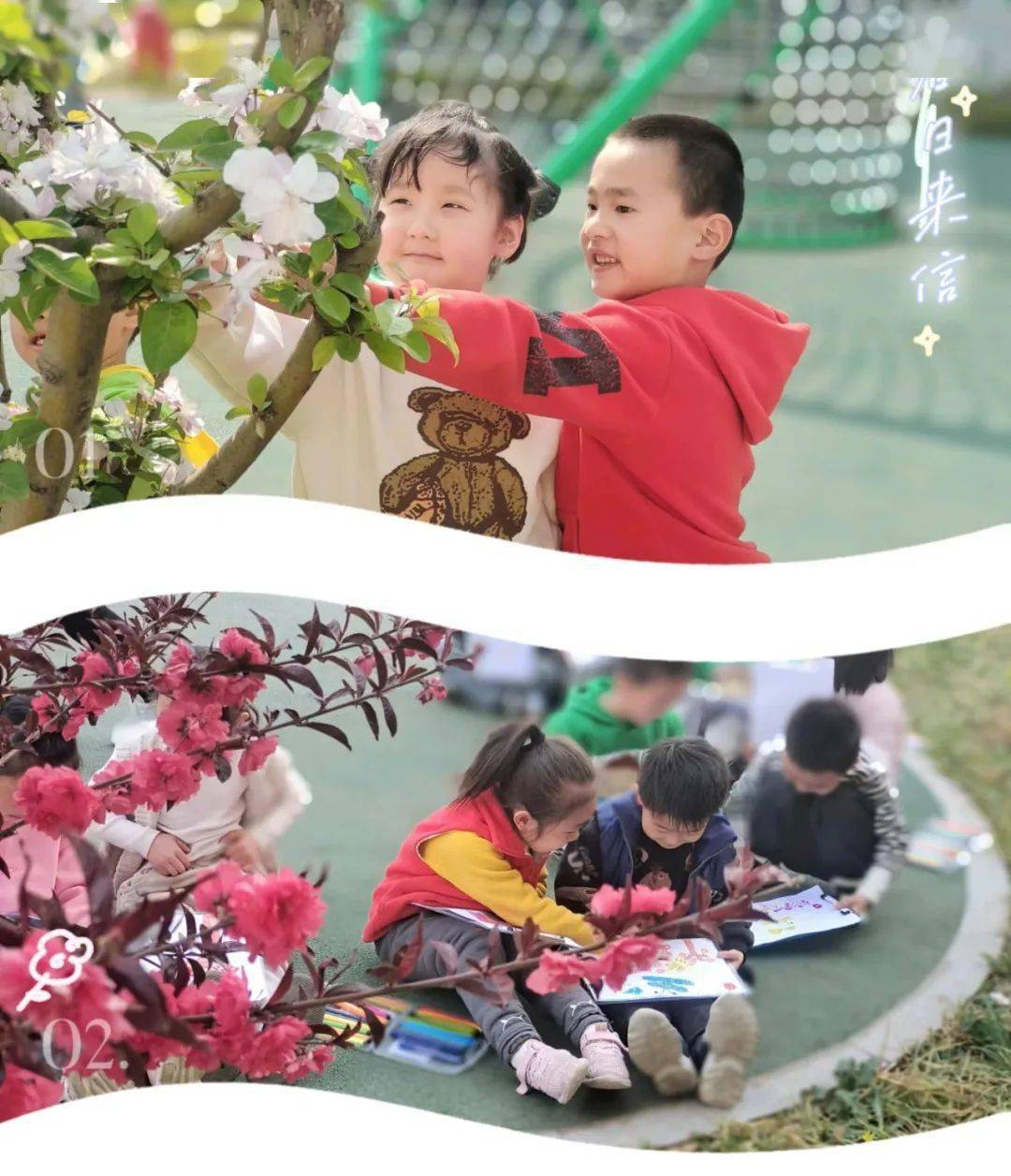 幼儿园新闻播报稿春天_幼儿园春天活动_幼儿园春天景色