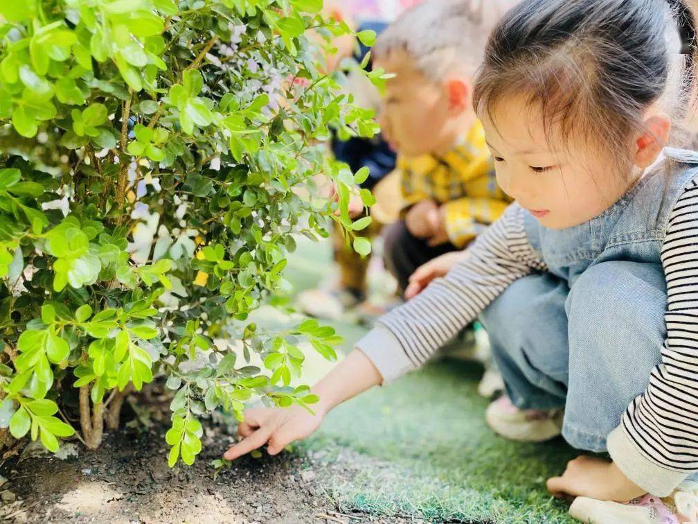幼儿园春天景色_幼儿园春天活动_幼儿园新闻播报稿春天
