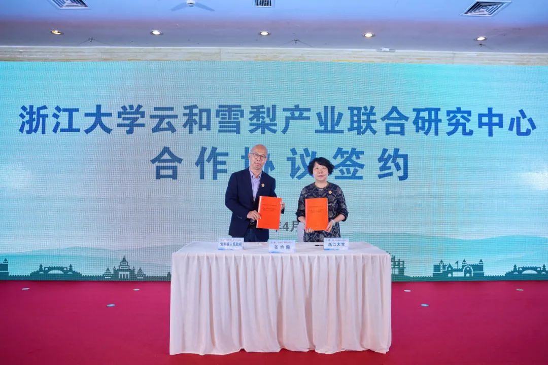 云和县民族团结乡村振兴_云和新闻_云和梯田景村共治发展