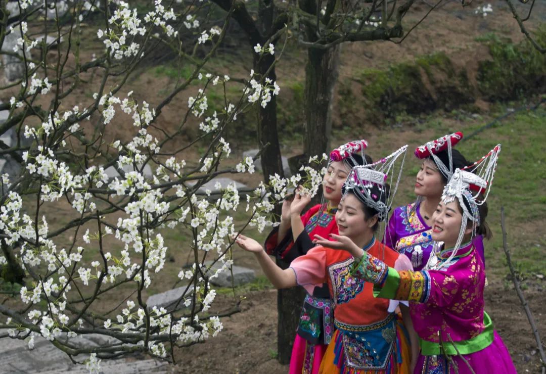 云和梯田景村共治发展_云和县民族团结乡村振兴_云和新闻