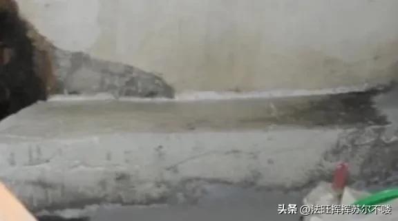 水泥台藏尸案_东阳哄新闻_东阳姐妹失踪案