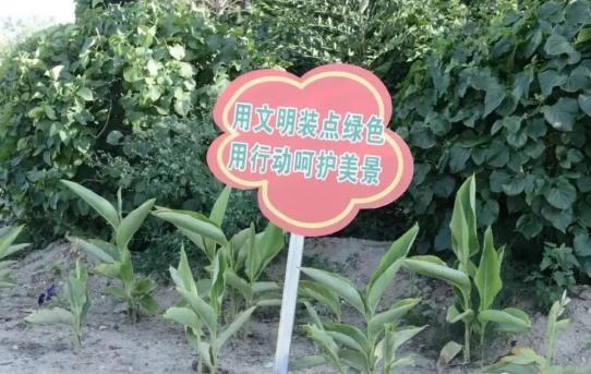 锡林浩特市创城工作_第六届全国文明城市参评城市_锡林浩特新闻