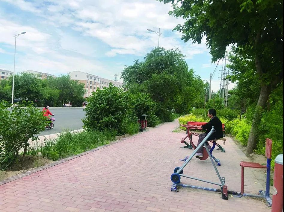 锡林浩特新闻_第六届全国文明城市参评城市_锡林浩特市创城工作