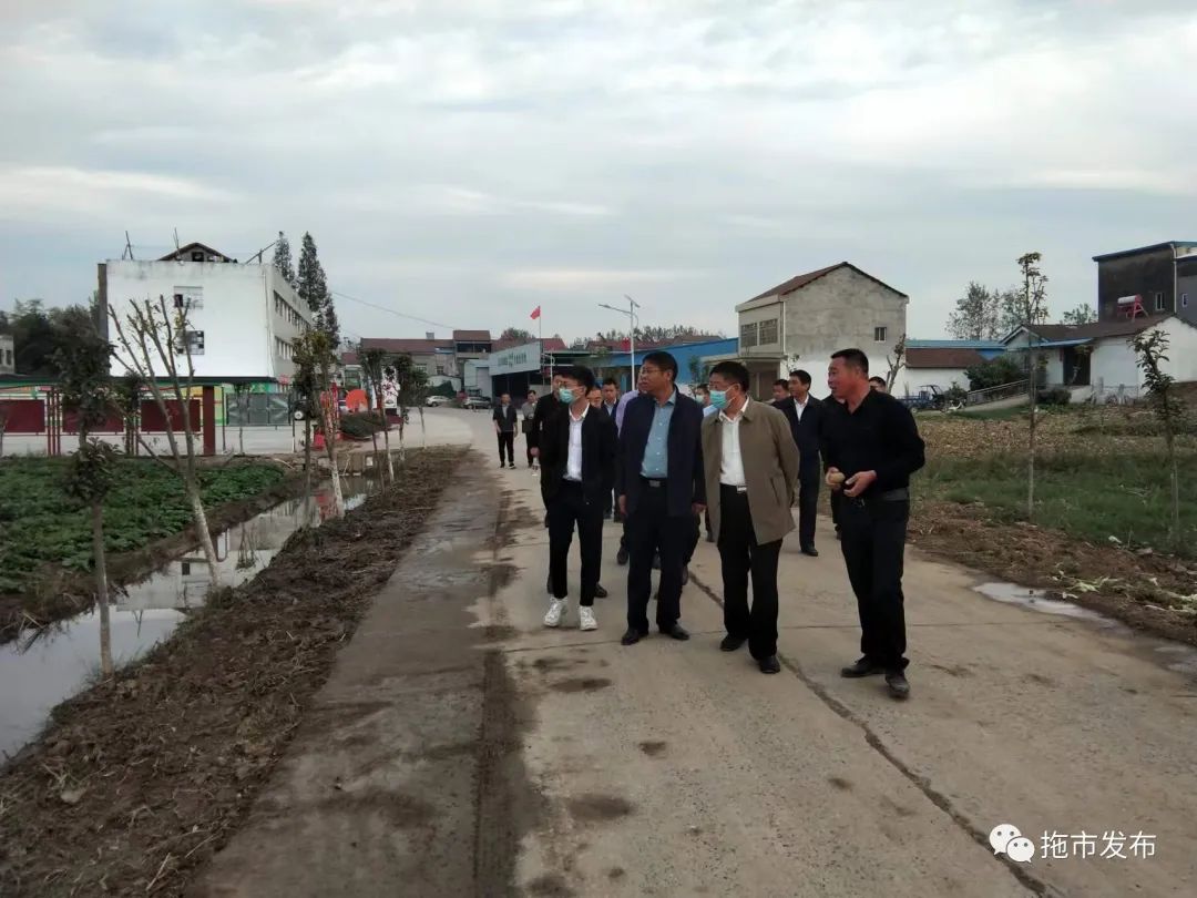 拖市镇督导调研活动_拖市镇重点工作进展_天门市拖市镇新闻