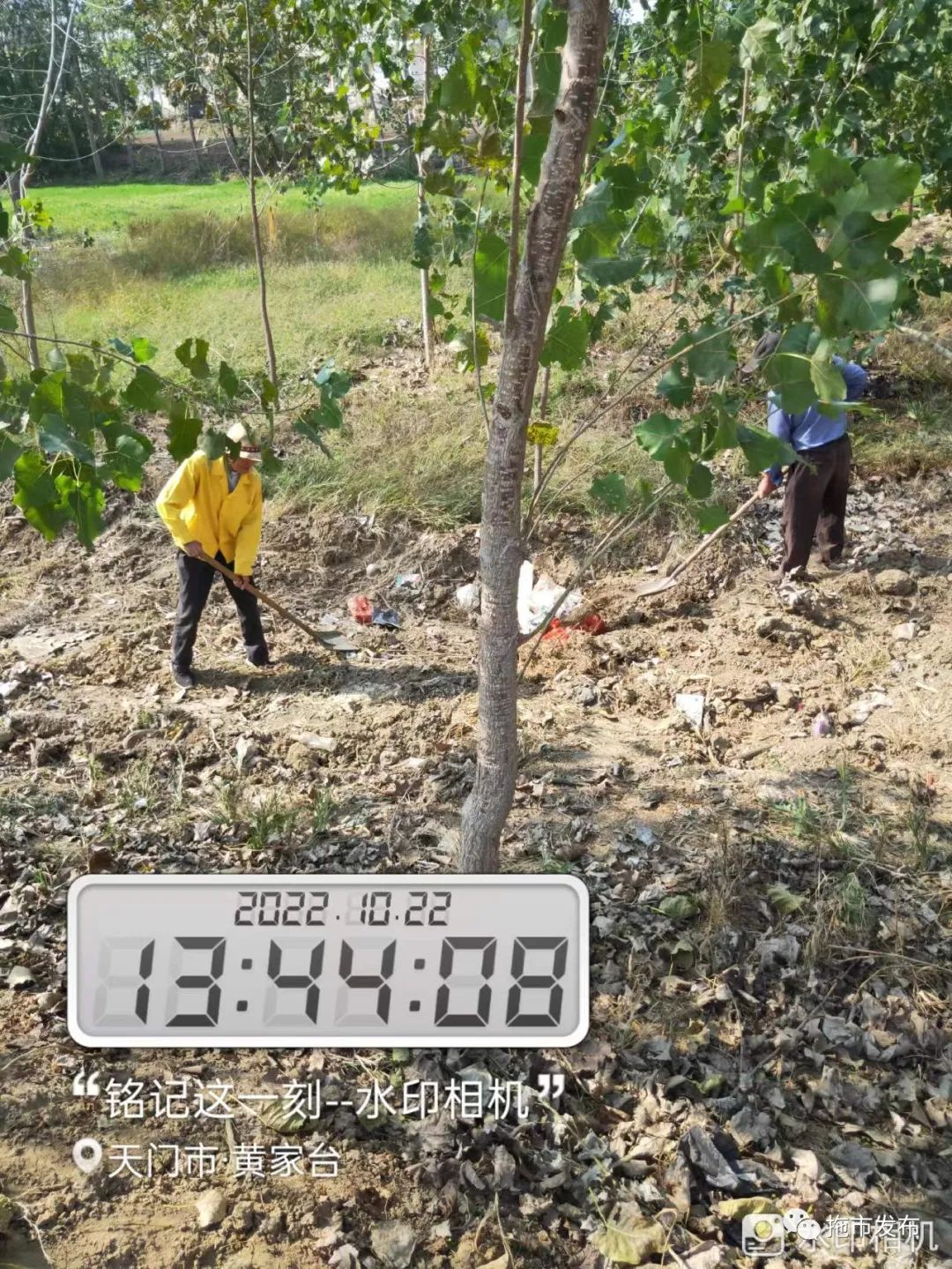 拖市镇重点工作进展_拖市镇督导调研活动_天门市拖市镇新闻