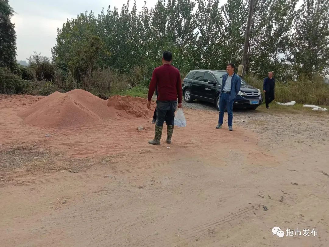 拖市镇督导调研活动_拖市镇重点工作进展_天门市拖市镇新闻