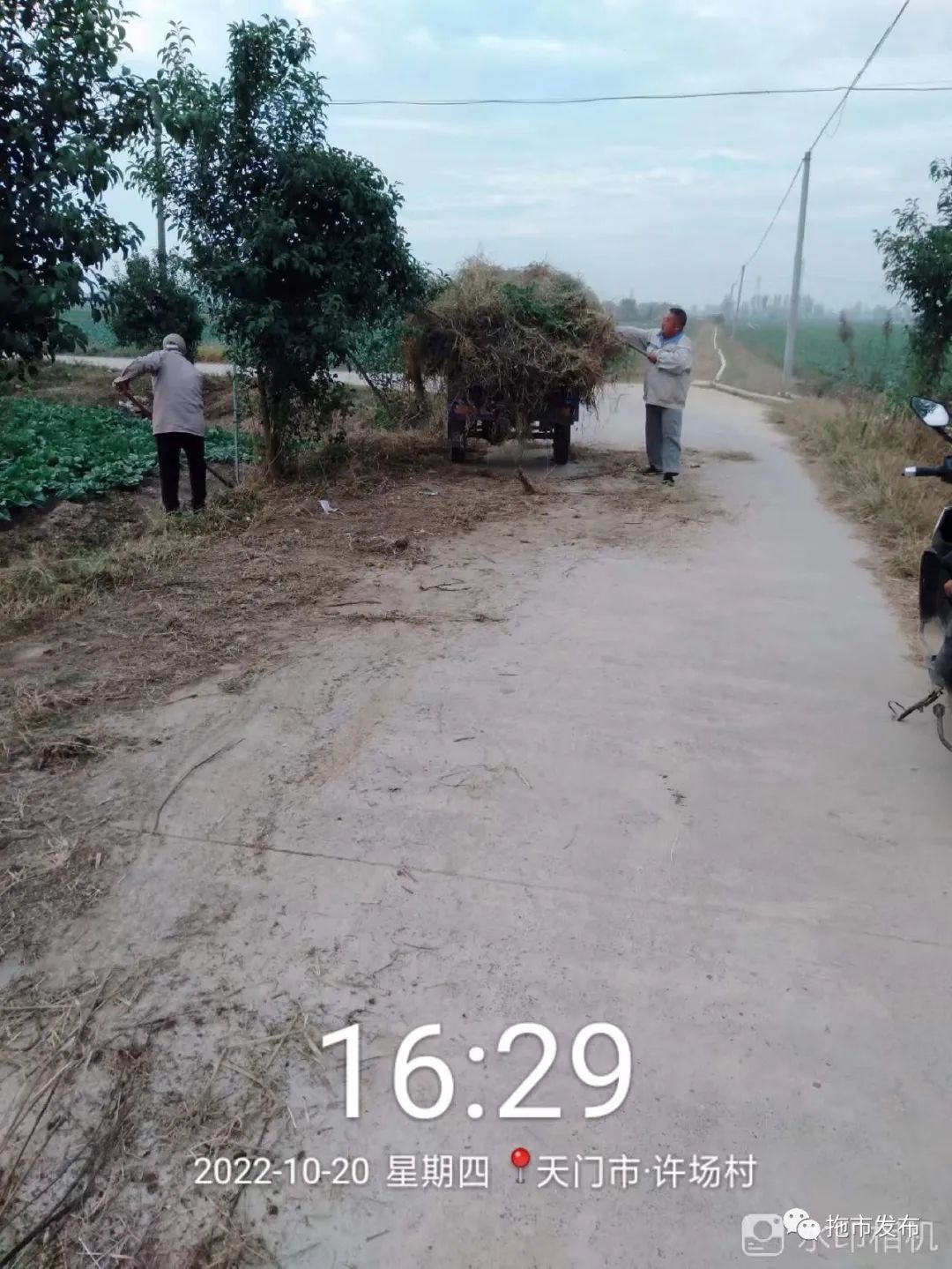 拖市镇重点工作进展_拖市镇督导调研活动_天门市拖市镇新闻