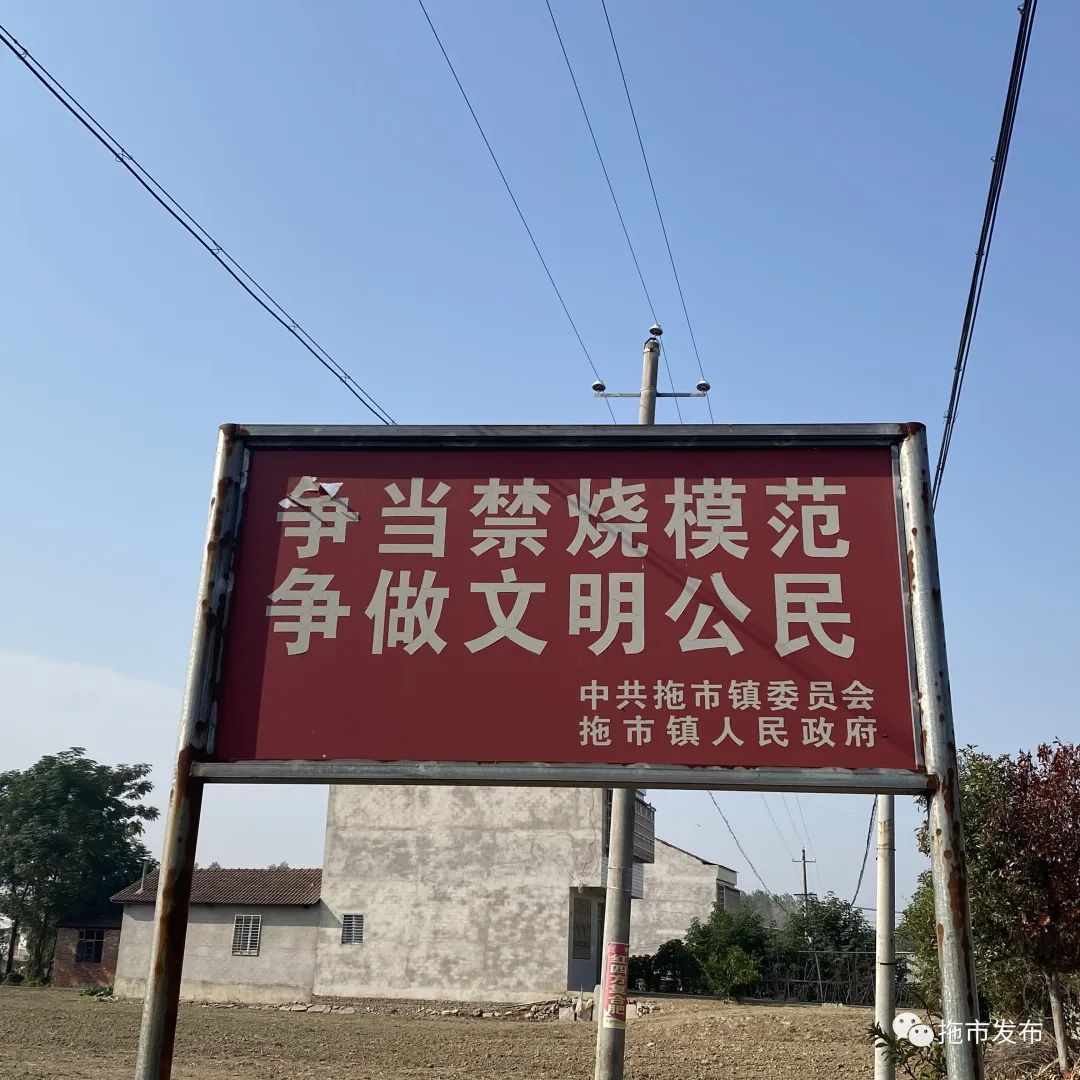 拖市镇重点工作进展_拖市镇督导调研活动_天门市拖市镇新闻