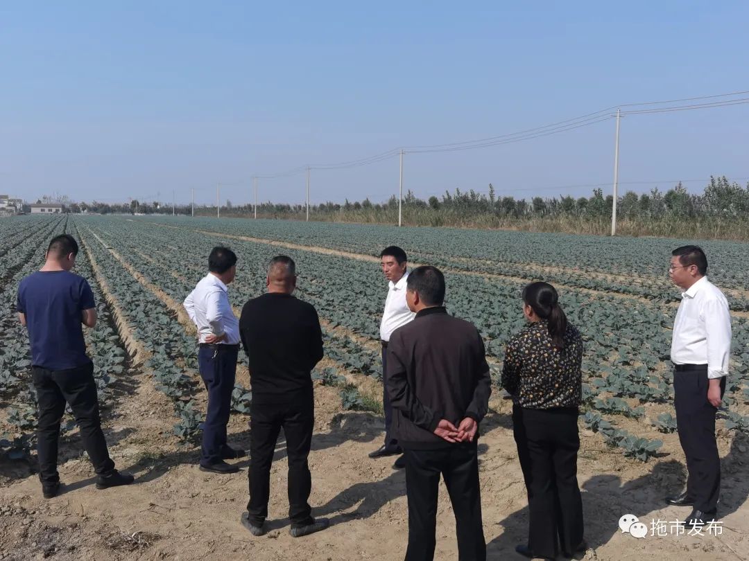 天门市拖市镇新闻_拖市镇督导调研活动_拖市镇重点工作进展