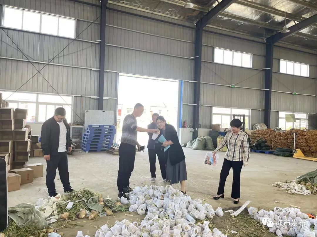 天门市拖市镇新闻_拖市镇督导调研活动_拖市镇重点工作进展