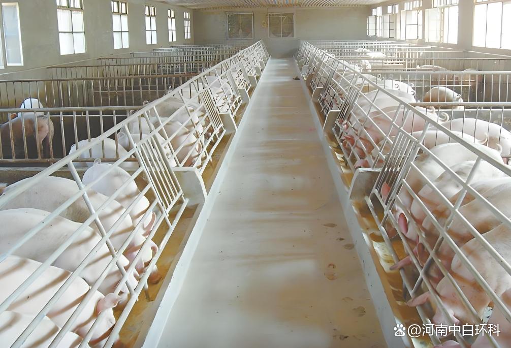 工厂除臭技术_化工厂环保稿件大全_恶臭污染治理