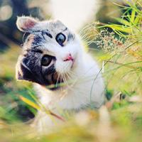 艾依格衣柜一平多少钱