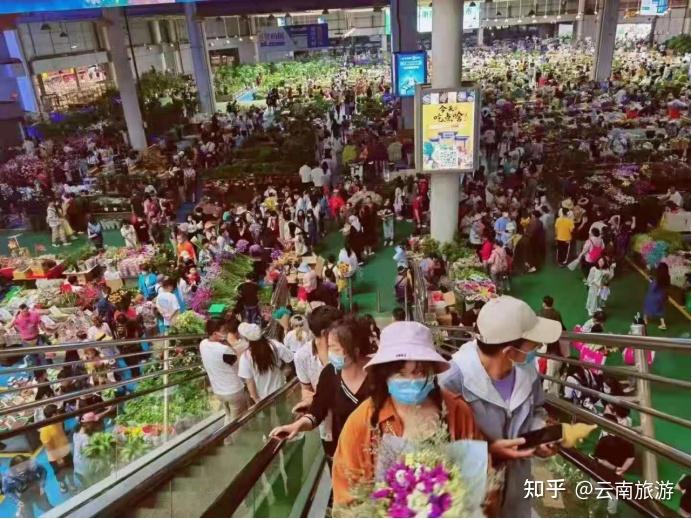 云南经典旅游路线_昆明大理丽江旅游攻略_云南红河州新闻