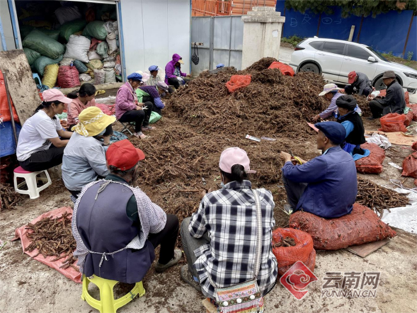 怒江兰坪：聚焦“三安” 答好易地搬迁后扶“三道题”