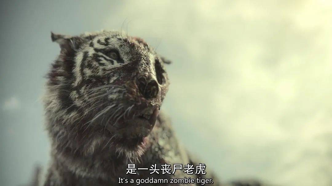 活死人的黎明_活死人黎明与活死人军团差异_扎克施耐德导演风格对比