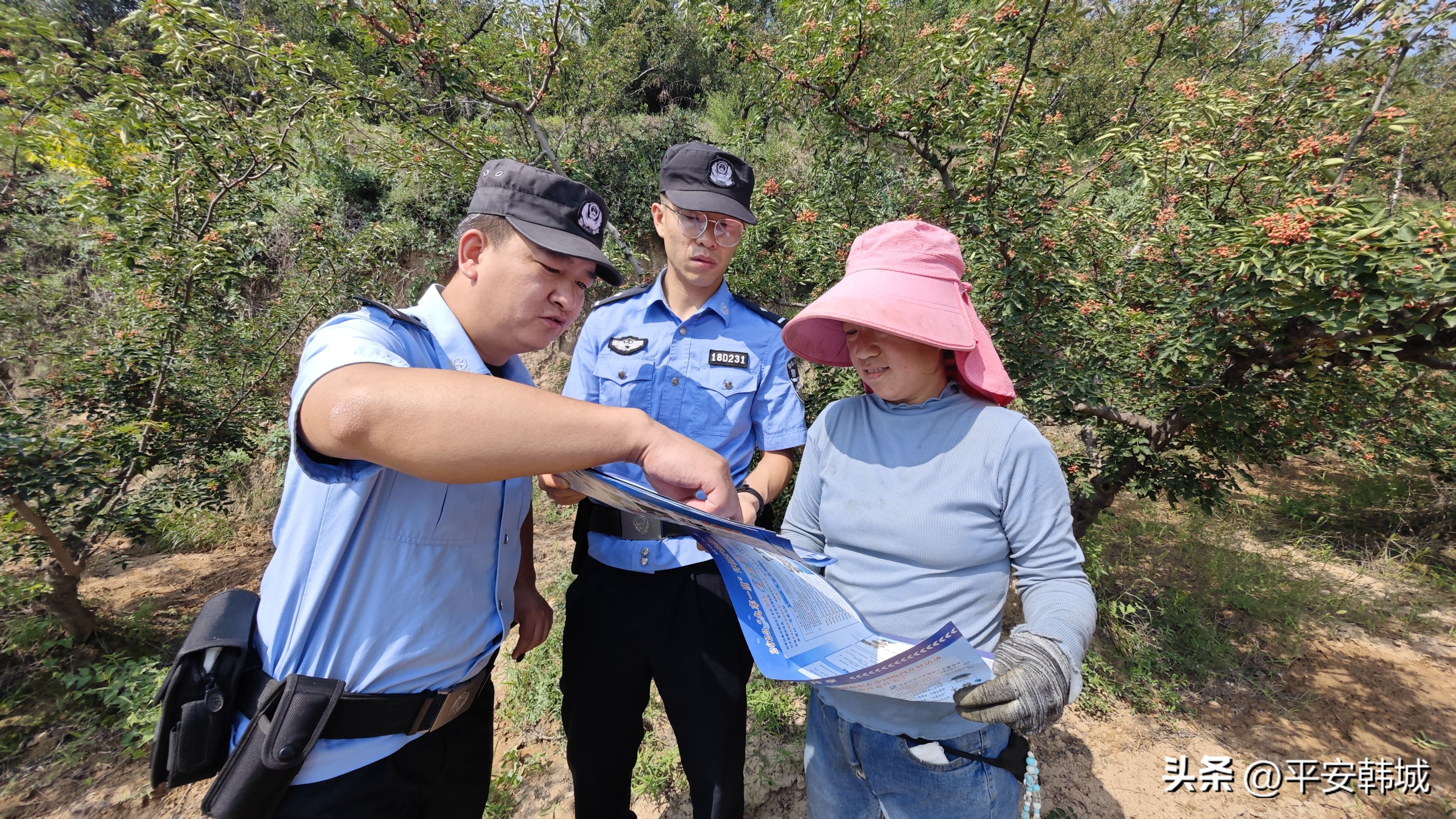 韩城市公安局 花椒警务 乡村振兴_‘韩城新闻