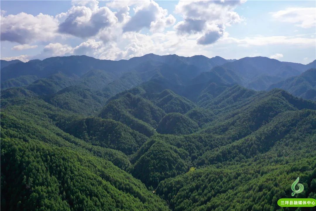 兰坪县野生菌绿色产业_云南怒江兰坪县新闻_兰坪县生态文明建设