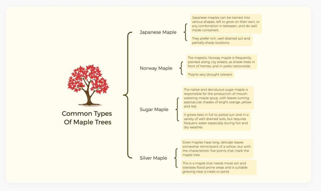 思维导图模板网站_免费在线思维导图工具_在线换发型软件