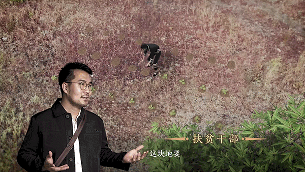 互动视频 脱贫攻坚 游戏化报道_通讯体裁扶贫故事