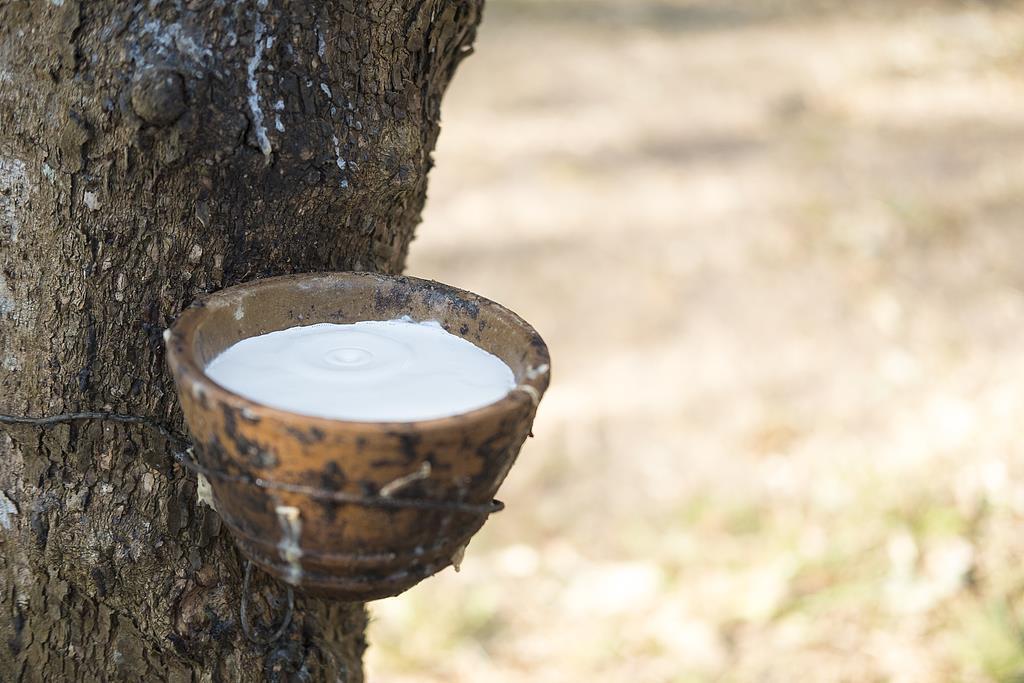 苹果美区应用商店_中国跨境电商APP排名_手机新闻软件排名