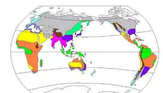 热带雨林气候_各种气候类型的特点_热带干湿季气候