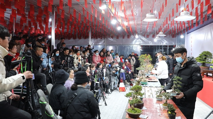 江苏沭阳县：“红色直播间”链接乡村振兴发展路