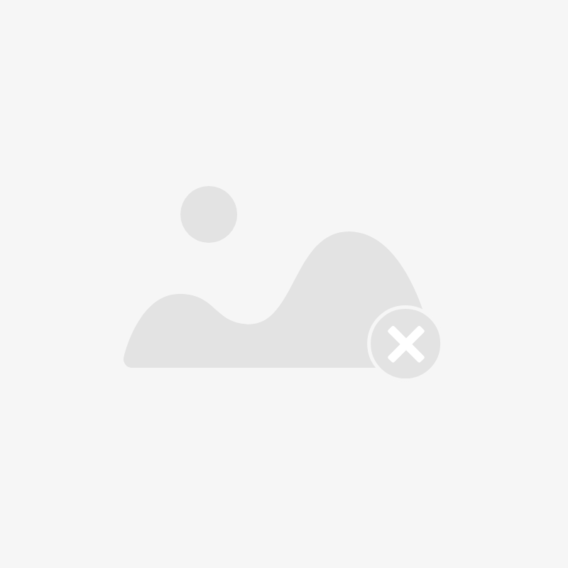 隼形目(分布图)