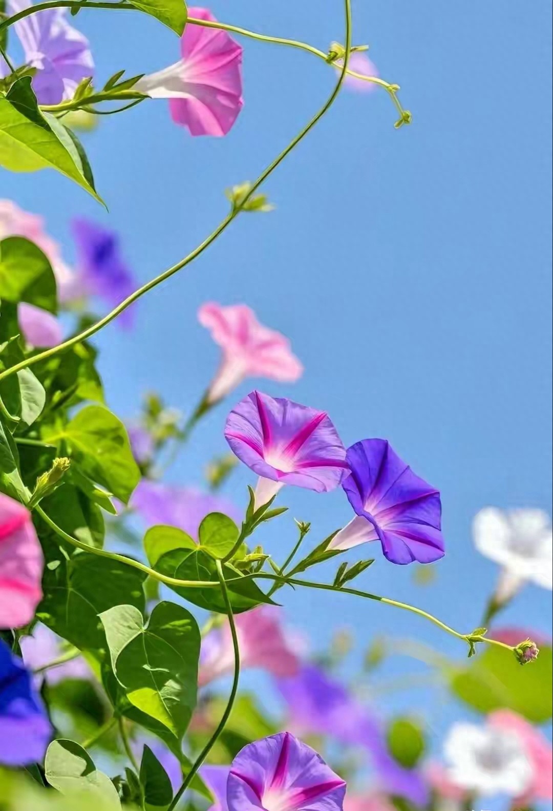 别再猜男人图你啥了，他图的就这三样“软实力”，比什么都金贵！