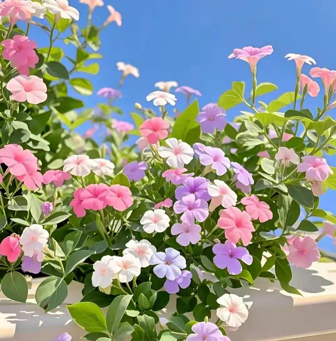 男人心理需求_男人的苦和累经典语句_男人情感需求分析