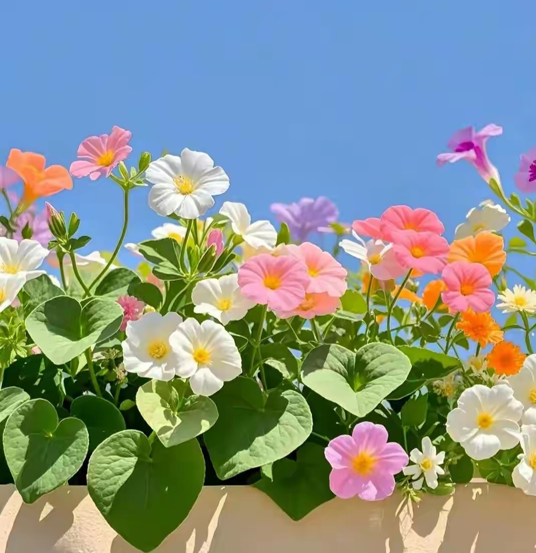 男人的苦和累经典语句_男人情感需求分析_男人心理需求