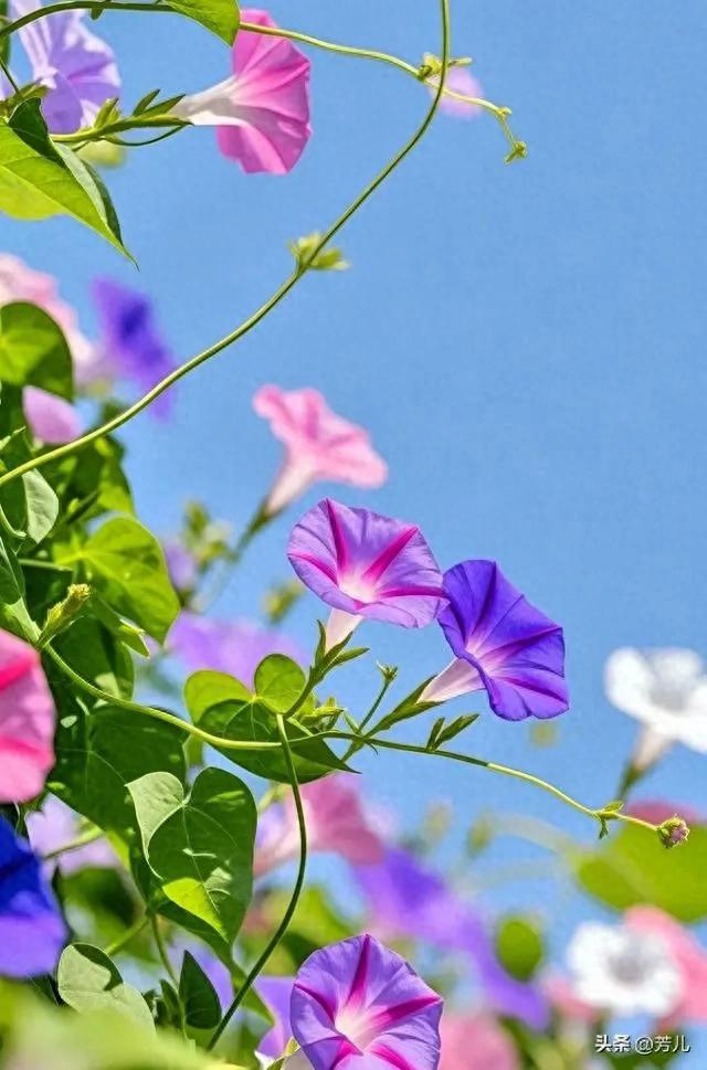 男人真正在乎的，根本不是颜值身材