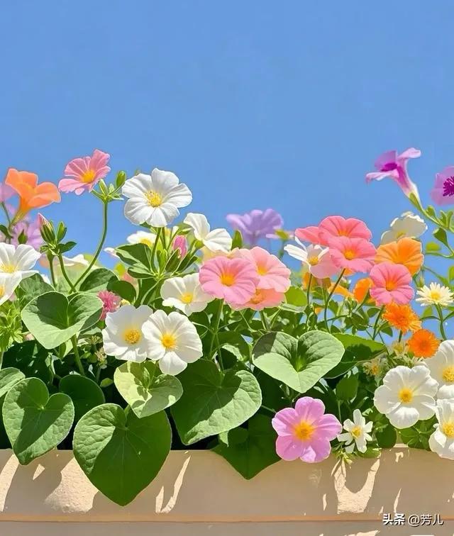 男人眼里的避风港_男人需要什么_男人的苦和累经典语句