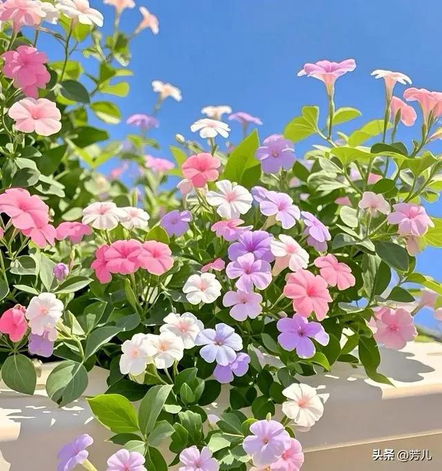 男人眼里的避风港_男人的苦和累经典语句_男人需要什么