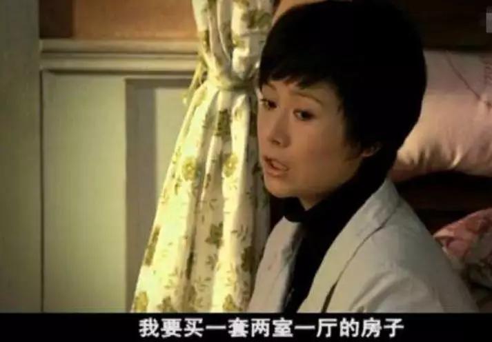 蜗居改写续集_安家 回应 蜗居 房似锦 徐文昌