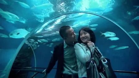 蜗居改写续集_海藻 宋思明 人生选择 蜗居 剧评