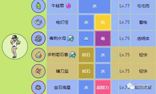 口袋妖怪N 神秘感分析 口袋妖怪N 反派角色_口袋妖怪黑白攻略