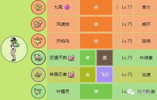 口袋妖怪黑白攻略_口袋妖怪N 神秘感分析 口袋妖怪N 反派角色