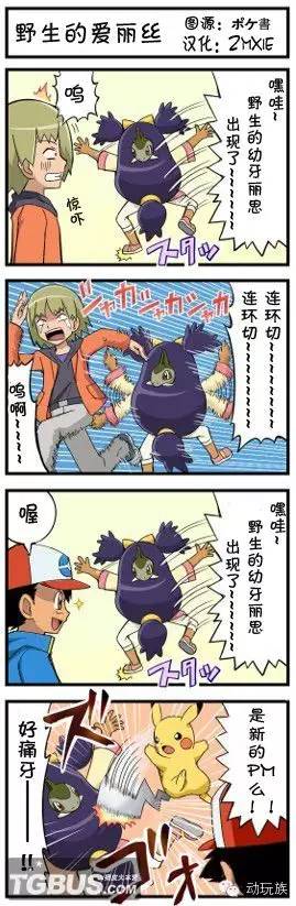 口袋妖怪黑白攻略_口袋妖怪N 神秘感分析 口袋妖怪N 反派角色