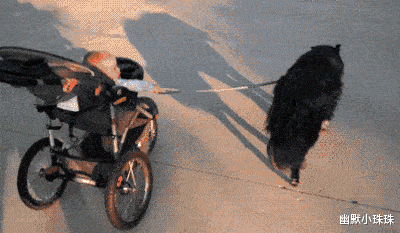 笑一笑，35张搞笑动图，让你的周末多一点欢乐和笑容