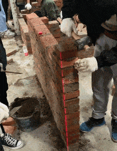 可爱宠物的有趣瞬间_搞笑的生活场景_搞笑新闻动态图片