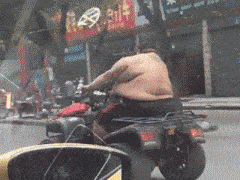 搞笑新闻动态图片_搞笑的生活场景_可爱宠物的有趣瞬间