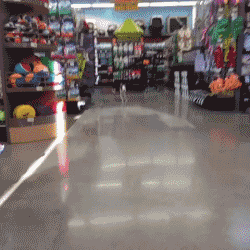 可爱宠物的有趣瞬间_搞笑的生活场景_搞笑新闻动态图片